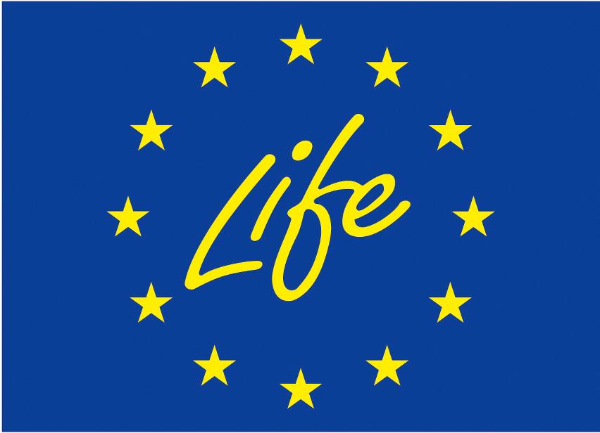 Life ip logo