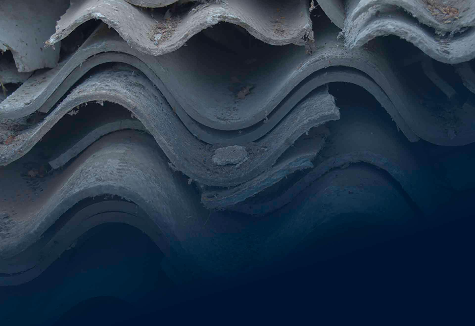 Trækroner med cirkler der indeholder forskellige typer affald.